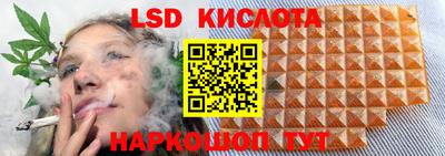 мяу мяу мука Обнинск