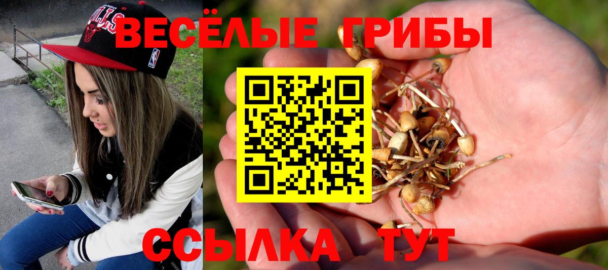 Галлюциногенные грибы прущие грибы Уварово